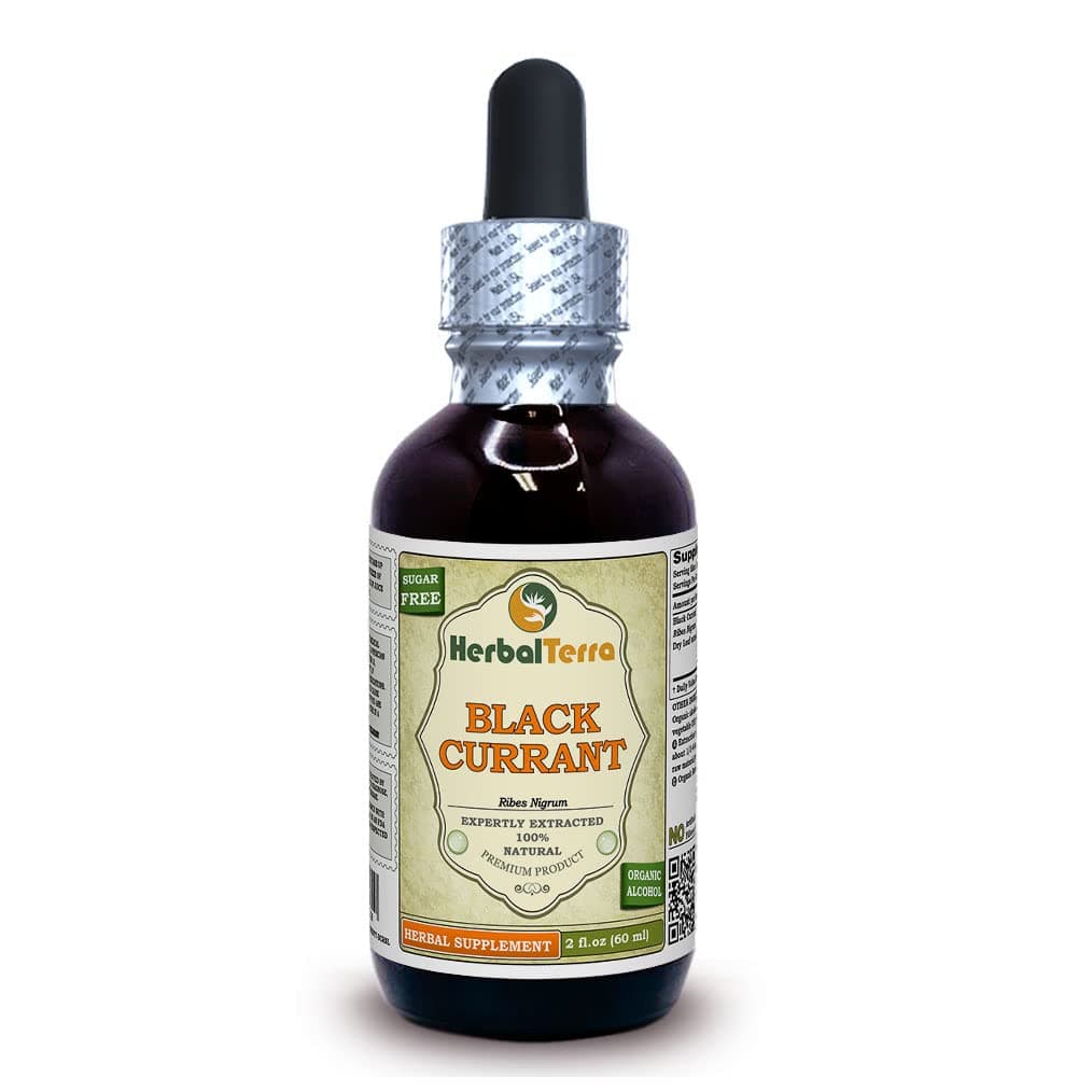 Black Currant (Ribes nigrum) Tincture, Dried Leaves Liquid Extract (Brand Name: HerbalTerra, Proudly Made in USA) 2 fl.oz (60 ml)