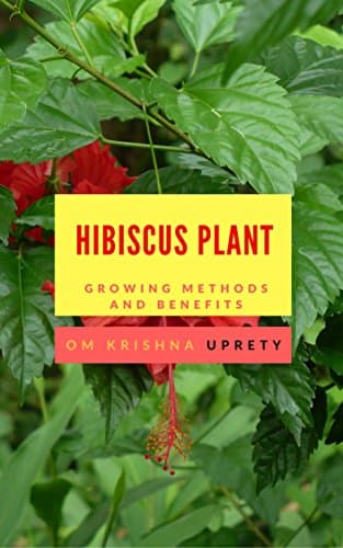 Hibiscus Plant: Growing Methods and Benefits Kindle Edition