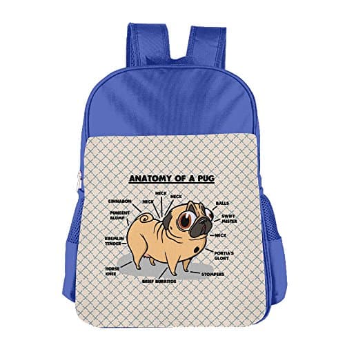 Fuuny Pug Anatomy Casual Backpacks Teen Boys School Bags