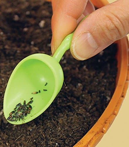 My Fairy Garden Lily Pond