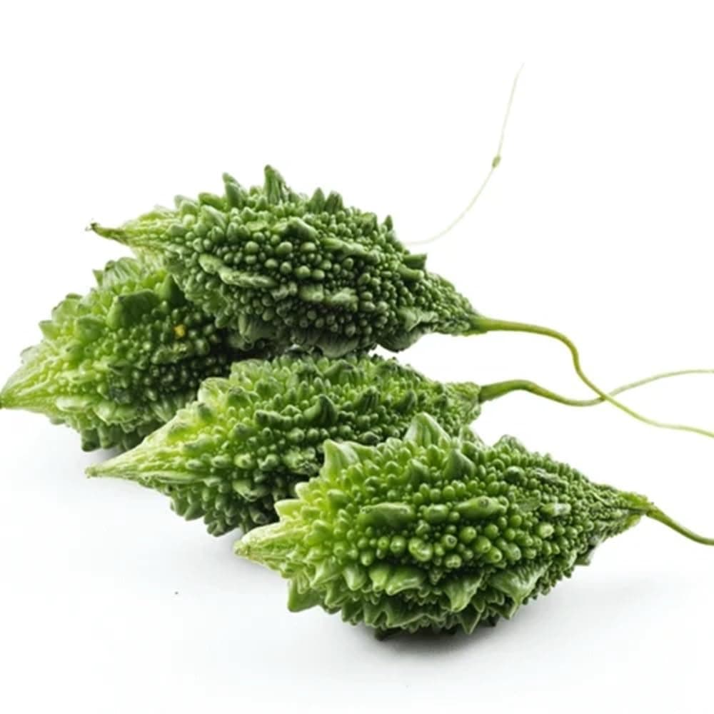Fresh Bitter Gourd Forest, 500g