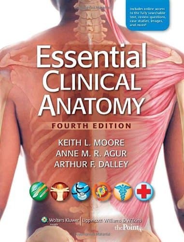 Essential Clinical Anatomy, 4th Edition by Keith L. Moore Anne M.R. Agur Arthur F. Dalley(2010-01-08)