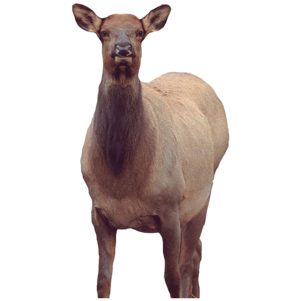 Montana Decoy Eichler Elk