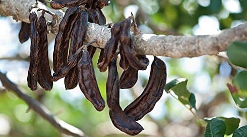 Indigo Herbs Organic Carob Powder 500g | Vegan | Pure | Pesticide Free