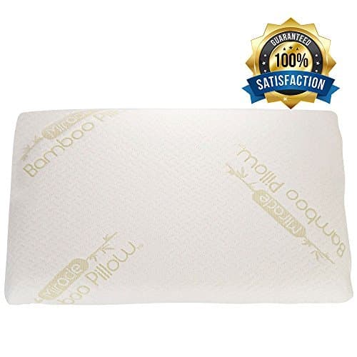 Memory Foam Bamboo Pillow, Shredded Down Fill, With Carrying Case
