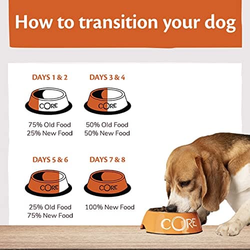 Wellness CORE Adult Low Fat, Dry Food for Sterilized/Overweight Dogs, Cereal Free, High Meat Content, Turkey, 10 kg