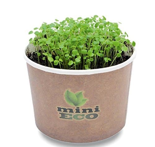 MiniEco Microgreens Growing Kit For Watercress Seeds. Your HEALTHY LIFE can start now!