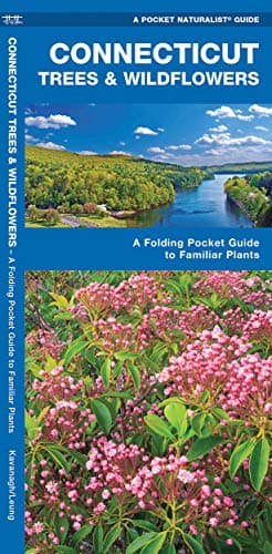 Connecticut Trees & Wildflowers: A Folding Pocket Guide to Familiar Plants (Wildlife and Nature Identification)