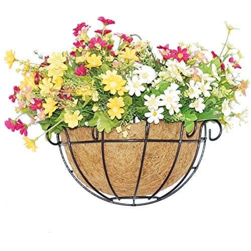 1Pcs Hanging Wall Planter Iron Wall-Mounted Planter Beautiful Pot Flower Pot Coconut Inner