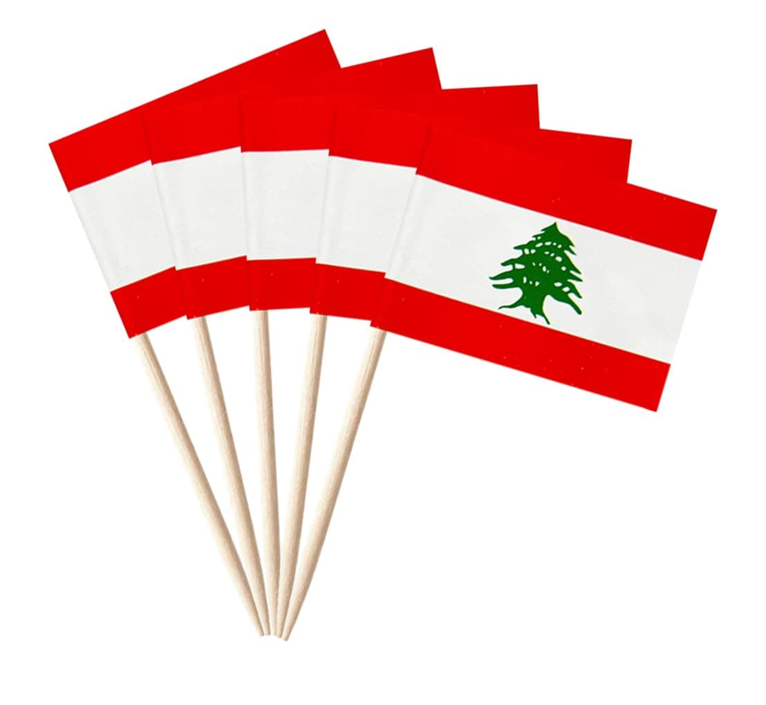stidsds 100 Pcs Lebanon Flag Lebanon Toothpick Flags Mini Small Lebanese Cupcake Toppers Stick Flags Banner Party Cocktail Fruit Decoration