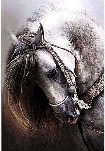 BJBJBJ 1000 Pieces of Wooden Puzzles Adult Puzzle Jigsaw White Horseshoe Leisure time Home Decoration Creative Art