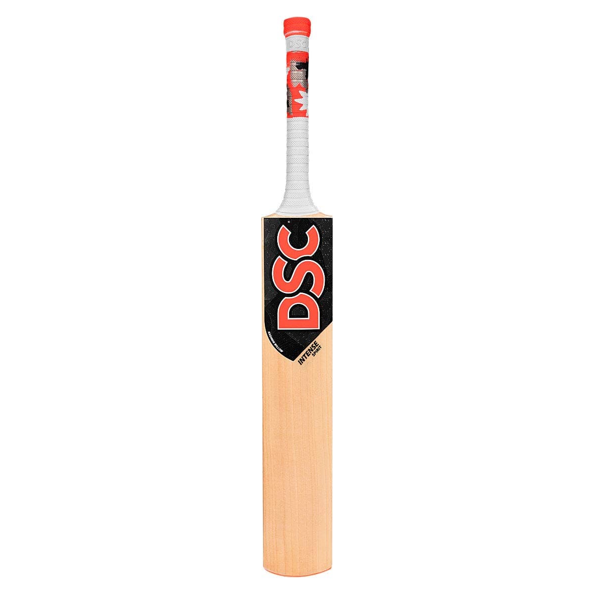 DSC Intense Spirit Kashmir Willow Cricket Bat (Size-6)
