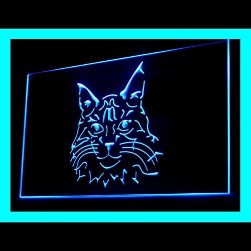 210080 Maine Coon Cat Kitty Tabby Noble Purebred Display LED Light Neon Sign