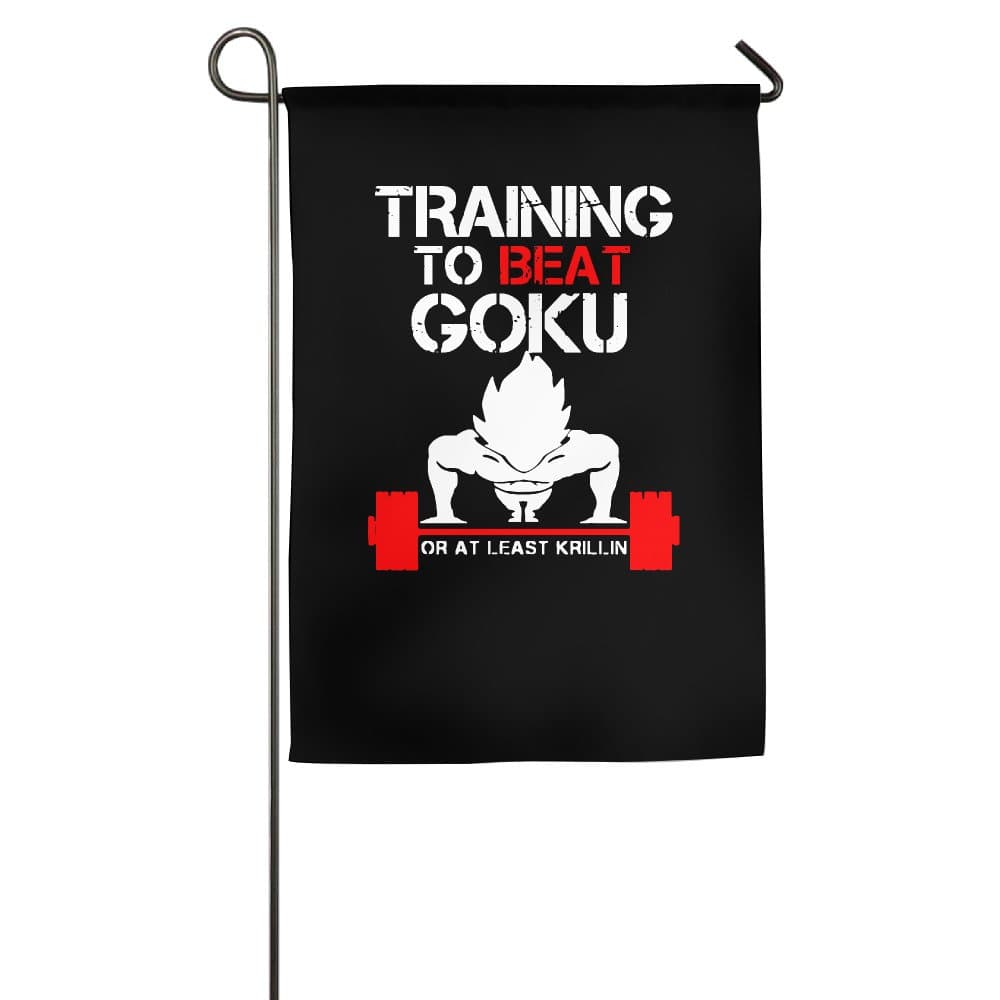 TRAINING TO BEAT GOKU OR AT LEAST KRILLIN GYM Popular Flags