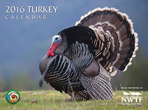2016 Turkey Calendar