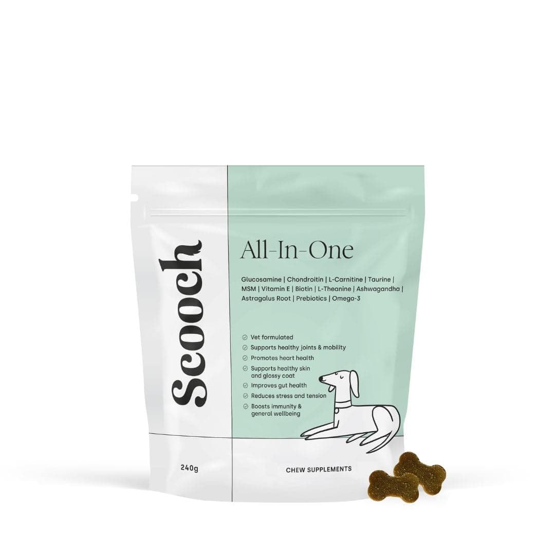 Scooch Dog Vitamins and Supplements 60 Crunchy Chews, 100% Plant Based | Dog Multivitamin for Joint, Skin, Coat, Brain, Heart & Gut Support | Vet Formulated with Glucosamine, Omega-3 & Prebiotics