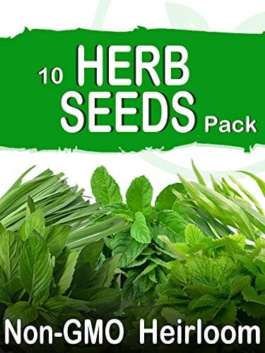 SavvyGrow Heirloom Herb Seeds (10 Type)-Survival Garden Seeds for Planting Include Basil, Mint, Cilantro, Dill - Open Pollinated, 85% Plus Germination Rate, Non-GMO & Source in USA Plant (Herb 4X)