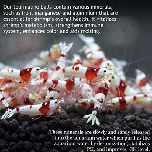 DreamDealsSG 100 Pieces Tourmaline Balls for Betta Fish Tank Accessories. Mineral Calcium Supplement. Live Shrimp Food, Betta Fish Food, and Crayfish Food. Water Conditioner for Freshwater Shrimp