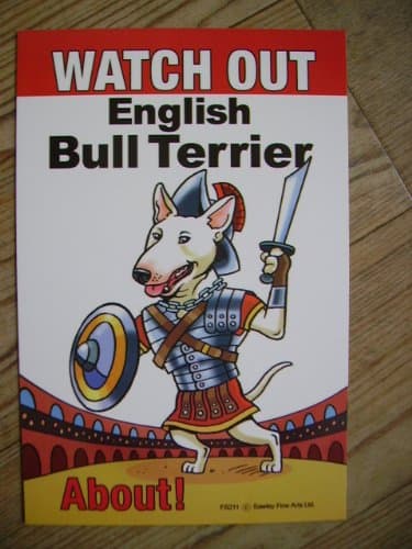 Fun Cartoon Watch out English Bull Terrier about beware of the dog sign