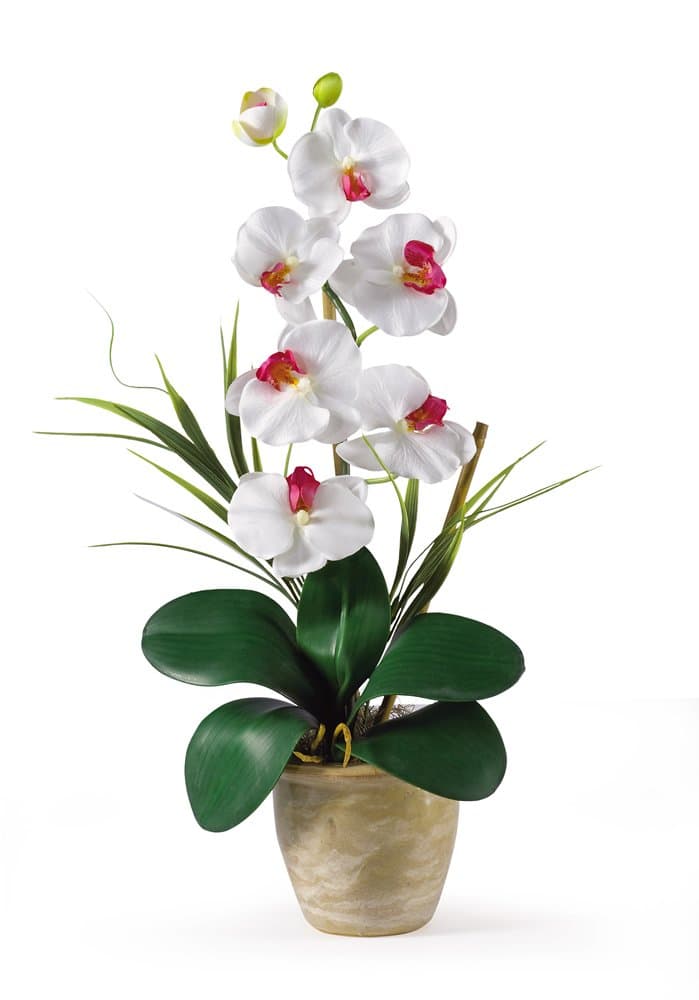 Nearly Natural 1016-WH Phalaenopsis Silk Orchid Flower Arrangement, White,6.75" x 6.75" x 22.5"