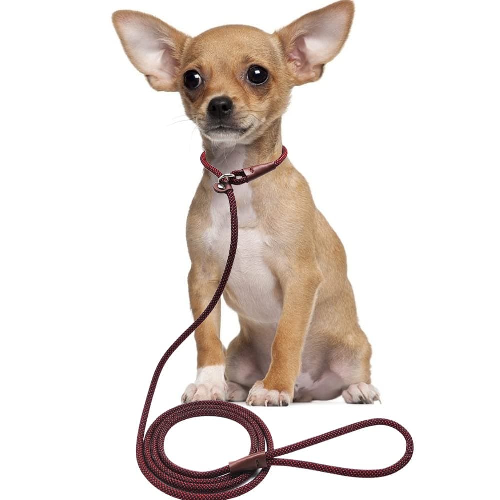 BTINESFUL 7FT Slip Lead Dog Leash, Strong Nylon Rope Leash, 1/4" No Pull Dog Training Lead for Small Medium Dogs