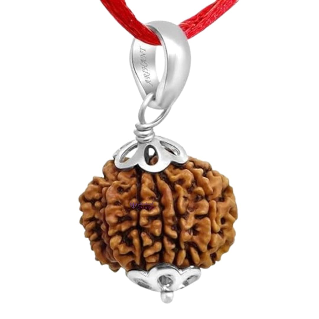 ARIHANT GEMS AND JEWELS 11 Mukhi Rudraksha Silver 925 Pendant | Eleven Faced Nepali Rudraksha | Loose Beads Rudrakalagni | Unisex Both for Men & Women | 100% Natural & Certified