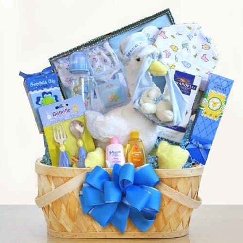 Special Stork Delivery Baby Boy Deluxe Gift Basket