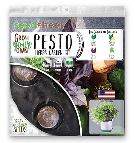 Seedsheet Grow Your Own Basil Bucket Container Garden Complete Kit