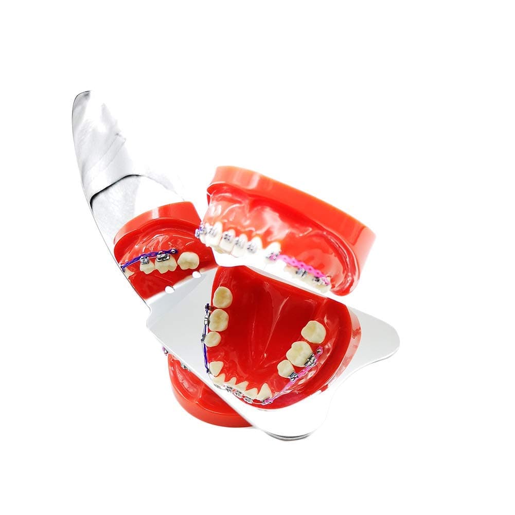 Sino Dental Intraoral Mirrors Dental Photography Mirror Double Side Photographic Reflector,Anti- sctraching Surface,Rhodium Plated