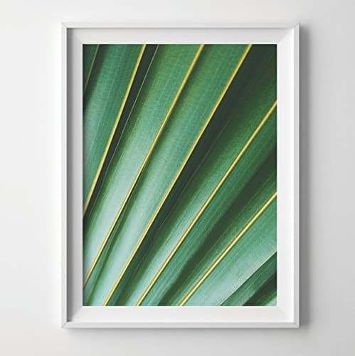 "Inverted Palm Leaf" Tropical Art Print Photography 8x11.5