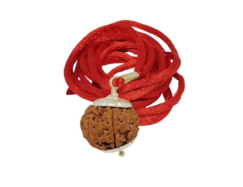 The Gallery Of Gemstonesनेचुरल आठ मुखी रुद्राक्ष 8 Mukhi Rudraksha Original Certified by Igl 8 मुखी रुद्राक्ष ओरिजिनल नेपाल Astamukhi Round Bead Eight Faces Pure Rudraksha Aath Mukhi Rudraksh by The Gallery Of Gemstones