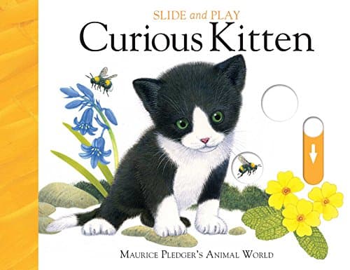 Slide & Play: Curious Kitten Board book – October 11, 2016