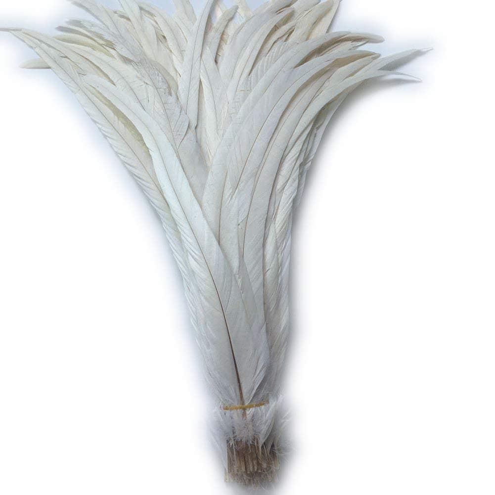 Shekyeon16-18inch 40-45cm Rooster Coque Tail Feather for Costume Decoration Pack of 20 (Beige/Ivory)