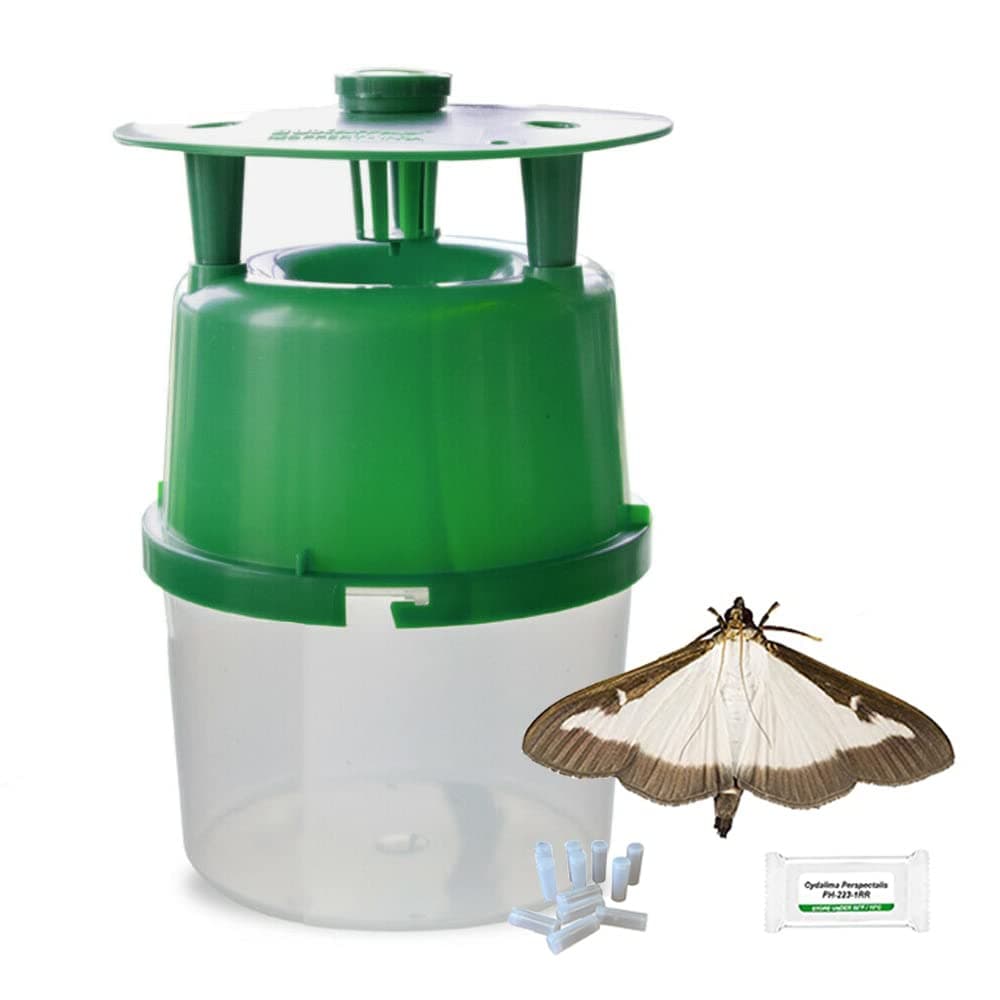 Box Tree Caterpillar Moth Trap - Includes 3 Pheromone Lures, Green, 10x22cm