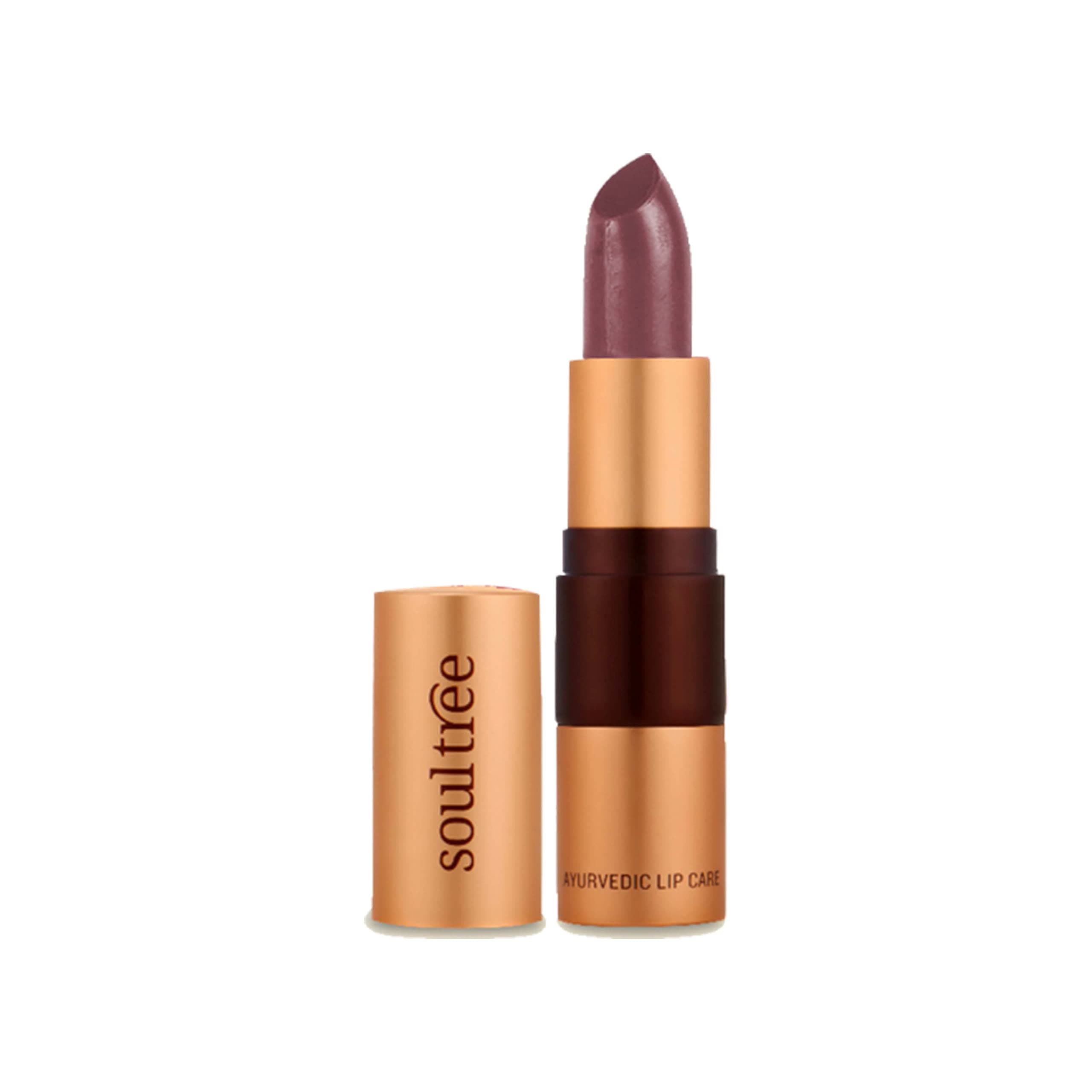 Ayurvedic Lipstick - Cocoa Rich 906, 4.5g