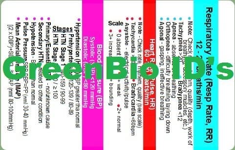 Adult Vital Signs Horizontal Badge ID Card Pocket Reference Guide