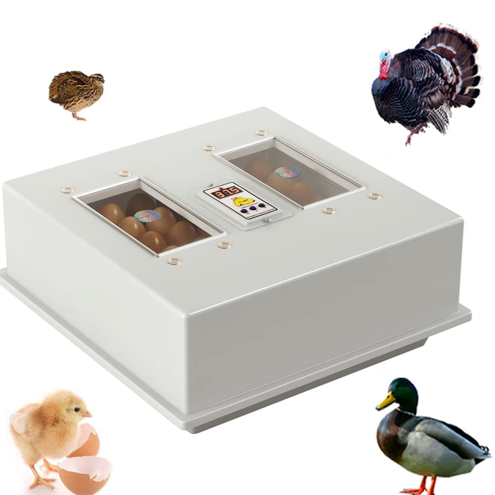 Digital Household Egg Incubator, 64 Eggs, 27Mm Body Thickness, Double Layer, White, Hhc1000