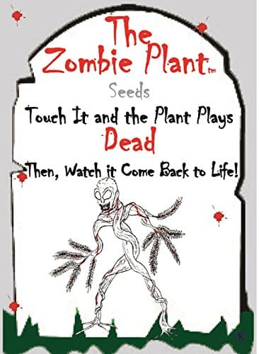 TickleMe Plant ZOMBIE PLANT Seeds -Grow Your Own ZOMBIE PLANT that PLAYS DEAD when you touch it!! Minutes Later your ZOMBIE PLANT comes back to life!