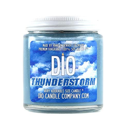 Adorable Size Candle Thunderstorm Rain Petrichor - Fresh Earth - Warm Summer Rain - Candle 4oz