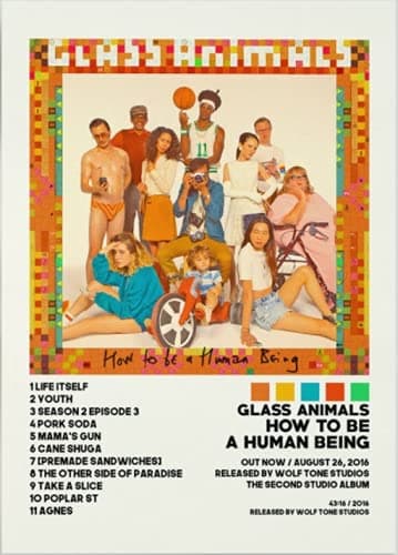 Glass Animals Posters, How to Be A Human Being Album Cover Poster Print Wall Art