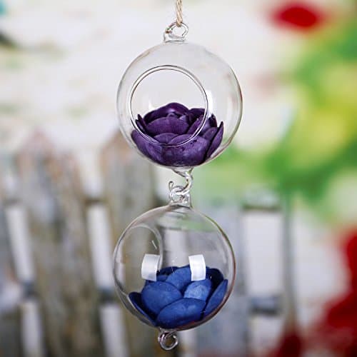 Clear Hanging Glass Candle Holder Round, Glass Terrarium, Plant Terrarium, with Double HooK 4.8inch 2-pack