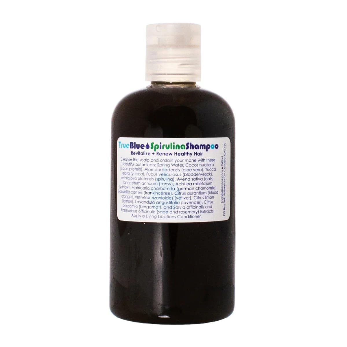 Organic True Blue Spirulina Shampoo | Natural, Plant-Based, Clean Beauty (8 oz | 240 ml)