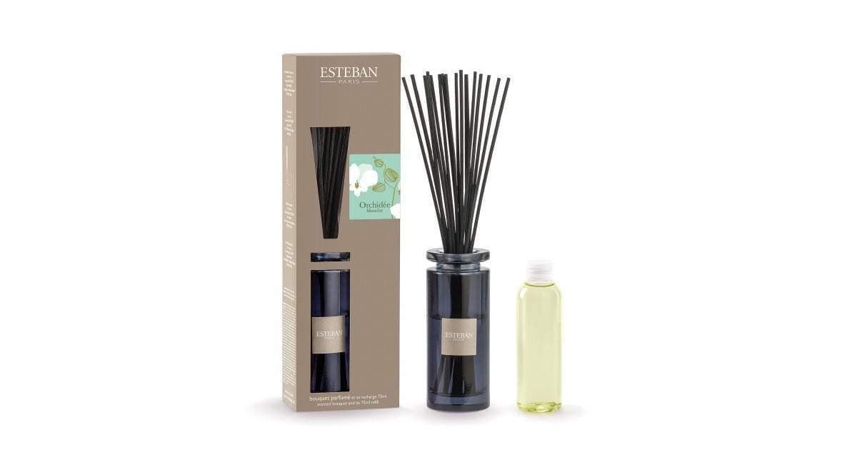 ESTEBAN vase diffuser scent home ORCHIDS BLANCHE 75ml a chopsticks with vase glass