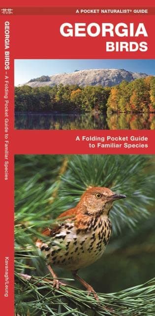 Georgia Birds: A Folding Pocket Guide to Familiar Species (Nature Observation North America)