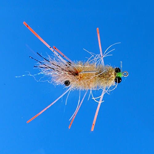 Enrico Puglisi EP Mantis Shrimp BC TAN #6, 2 PK