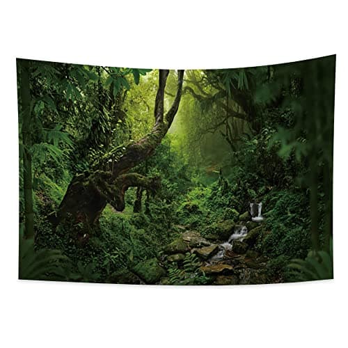 YONGFOTO 100x70cm Scenery Tapestry, Foggy Forest Tapestries Creek Water Sunlight Curved Stout Trunk Outdoor Wild Plants Grass Moss Hanging Tapestry for Living Room Dorm Decor Sofa Carpet Blanket