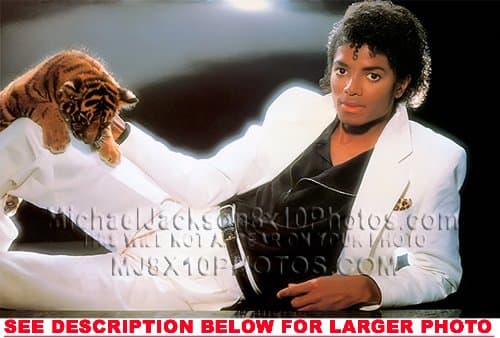 MICHAEL JACKSON THRILLER COVER w TIGER (1) RARE 8x10 FINE ART PHOTO