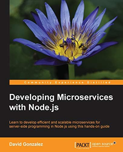 Developing Microservices with Node.js Paperback – 26 April 2016