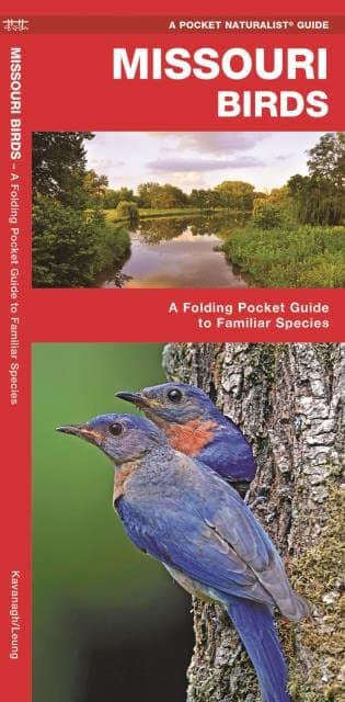 Missouri Birds: A Folding Pocket Guide to Familiar Species (Nature Observation North America)