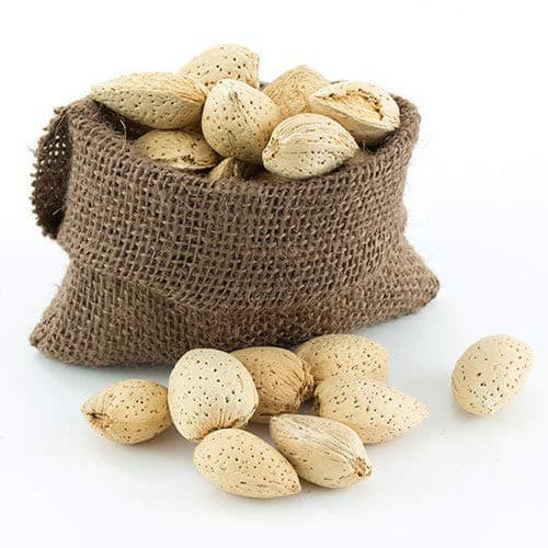 Great Companions in Shell Almonds, Bird Treat- 5 lbs